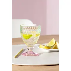 Boston Pearl Çok Renkli Kristal Su Kadehi