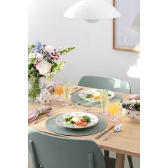 Boston Pearl Çok Renkli Kristal Su Kadehi