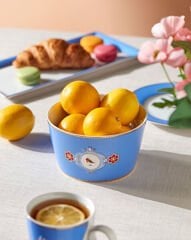 Love Birds Mavi Kase 15 cm